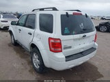 Ford Escape Xlt 1FMCU0DG8CKB06175 fotografie