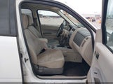 Ford Escape Xlt 1FMCU0DG8CKB06175 снимка