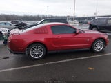 Ford Mustang V6 Premium 1ZVBP8AM1C5237637 снимка