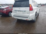 Miniaturka zdjęcia 6