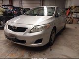 Toyota Corolla Le 2T1BU4EE9AC221368 снимка