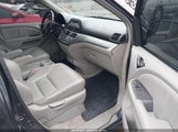 Honda Odyssey Ex-L 5FNRL38625B406606 снимка