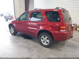 Ford Escape 1FMCU96H66KB01149 снимка