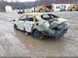Miniaturka zdjęcia 3