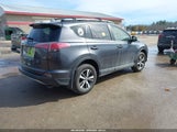 Toyota Rav4 Xle JTMRFREV5HJ116864 снимка