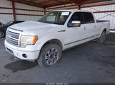 Ford F-150 Fx4/Harley-Davidson/King Ranch/Lariat/Platinum/Xl/Xlt 1FTFW1EVXAFC59774 снимка