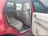 Ford Escape Xlt 1FMCU0D7XCKC37155 снимка