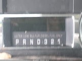 Miniaturka zdjęcia 7