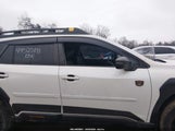 Subaru Outback Wilderness 4S4BTGUD6N3197344 снимка