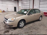 Chevrolet Malibu Ls 1G1ZT54845F152274 снимка