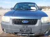 Ford Escape Xlt 1FMYU93165KD99150 снимка