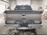 Ford F-150 Fx4/Lariat/Xl/Xlt 1FTFX1EV6AKE38141 photo