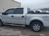 Ford F-150 Xlt 1FTFW1EF8EKD01509 снимка