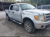 Ford F-150 Xlt 1FTFW1EF8EKD01509 снимка