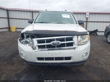 Ford Escape Xlt 1FMCU9D7XCKC28122 fotografie