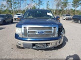 Ford F-150 Fx4/Harley-Davidson/King Ranch/Lariat/Platinum/Xl/Xlt 1FTFW1EV1AKE47607 photo