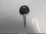 Miniaturka zdjęcia 11