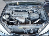 Miniaturka zdjęcia 10