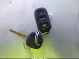 Miniaturka zdjęcia 11