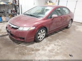 Honda Civic Lx 19XFA1F53AE043899 снимка