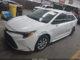 Miniaturka zdjęcia 2