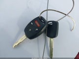 Miniaturka zdjęcia 11