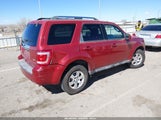 Ford Escape Limited 1FMCU0EG2CKA37403 снимка