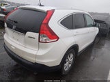 Honda Cr-V Ex-L 5J6RM4H77EL001571 снимка