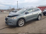 Mazda Cx-9 Grand Touring JM3TB3DV3D0405281 снимка