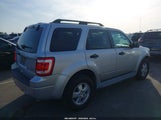Ford Escape Xlt 1FMCU9DG5AKB81093 fotografie