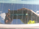 GMC Sierra  Denali 1GTP8FED4KZ216597 снимка