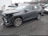 Toyota Rav4 Xle/Woodland Edition 2T3RWRFV6RW247402 fotografie