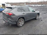 Toyota Rav4 Xle/Woodland Edition 2T3RWRFV6RW247402 fotografie