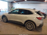 Ford Escape Se Hybrid 1FMCU0BZ1MUA84076 fotografie