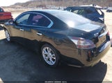 Miniaturka zdjęcia 3