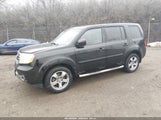 Honda Pilot Ex-L 5FNYF4H56EB041492 снимка
