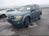 Ford Escape Xlt 1FMCU0D77BKA52995 fotografie