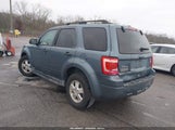 Ford Escape Xlt 1FMCU0D77BKA52995 fotografie