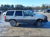 Jeep Grand Cherokee Laredo 1J4GZ58S0WC254266 fotografie