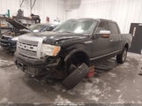 Ford F-150 Fx4/King Ranch/Lariat/Platinum/Xl/Xlt 1FTPW14V49FA70538 photo