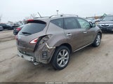 Nissan Murano Le/S/Sl/Sv JN8AZ1MW8EW507879 снимка