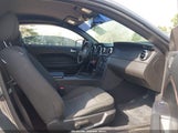 Ford Mustang V6/V6 Premium 1ZVHT80N695101884 fotografie