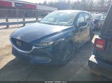 Miniaturka zdjęcia 2