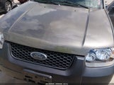Ford Escape Xlt 1FMYU03145KB67626 снимка
