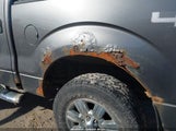 Ford F-150 Fx4/Harley-Davidson/King Ranch/Lariat/Platinum/Xl/Xlt 1FTFW1EV3AFB30498 снимка