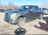 Ford F-150 Fx4/Harley-Davidson/King Ranch/Lariat/Platinum/Xl/Xlt 1FTFW1EV3AFB30498 снимка
