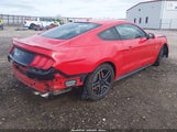 Ford Mustang Gt 1FA6P8CF9K5157803 fotografie