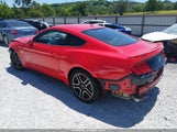 Ford Mustang Gt 1FA6P8CF9K5157803 fotografie