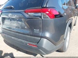 Toyota Rav4 Xle JTMP1RFV1KD514552 fotografie