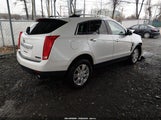 Cadillac Srx Luxury Collection 3GYFNDEY7BS539786 снимка